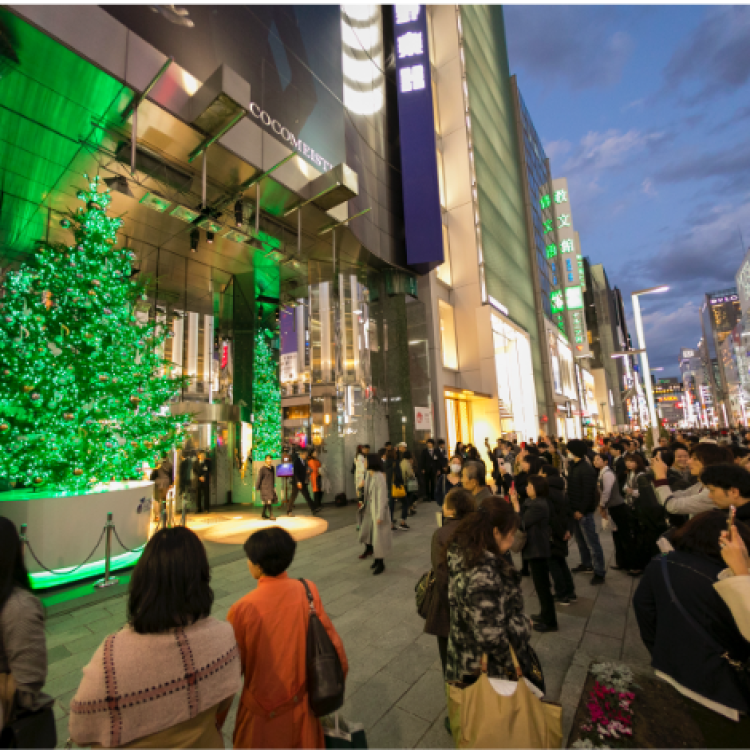 クリスマスイルミネーション(2016~2018)